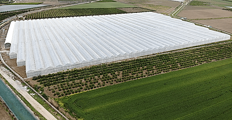 Sera Nedir? Sera Kurulumu ve Sera Çeşitleri Hakkında Bilmeniz Gerekenler