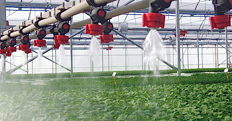 Fide Serası Nedir? Nasıl Kurulur?